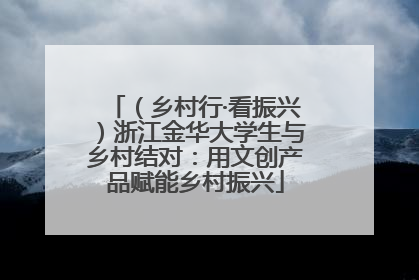 （乡村行·看振兴）浙江金华大学生与乡村结对：用文创产品赋能乡村振兴