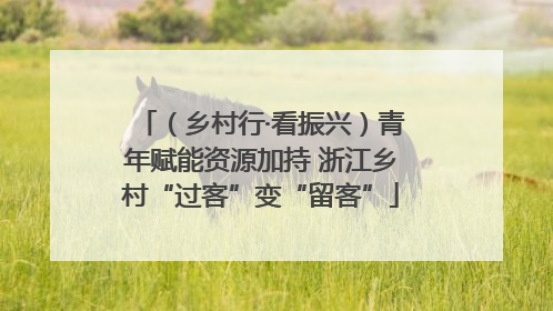 （乡村行·看振兴）青年赋能资源加持 浙江乡村“过客”变“留客”