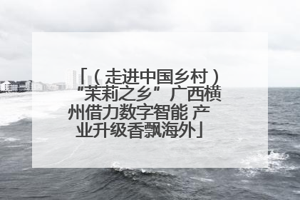 （走进中国乡村）“茉莉之乡”广西横州借力数字智能 产业升级香飘海外