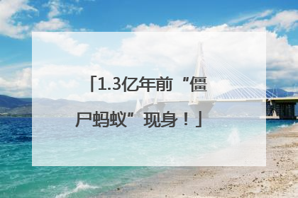 1.3亿年前“僵尸蚂蚁”现身！