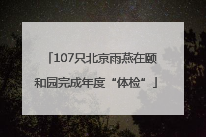 107只北京雨燕在颐和园完成年度“体检”