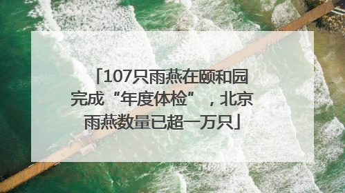 107只雨燕在颐和园完成“年度体检”，北京雨燕数量已超一万只