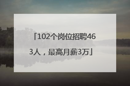 102个岗位招聘463人，最高月薪3万
