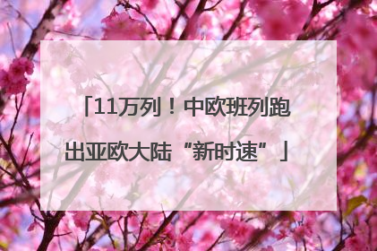 11万列！中欧班列跑出亚欧大陆“新时速”
