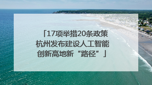 17项举措20条政策 杭州发布建设人工智能创新高地新“路径”