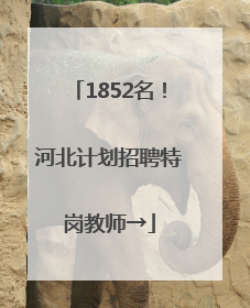 1852名！河北计划招聘特岗教师→