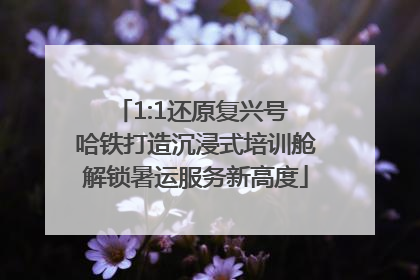 1:1还原复兴号 哈铁打造沉浸式培训舱解锁暑运服务新高度