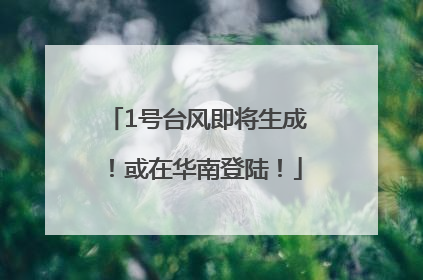 1号台风即将生成！或在华南登陆！