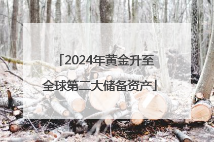 2024年黄金升至全球第二大储备资产