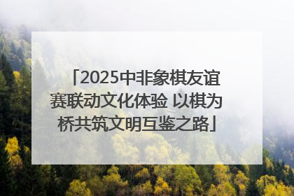 2025中非象棋友谊赛联动文化体验 以棋为桥共筑文明互鉴之路