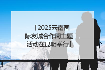 2025云南国际友城合作周主题活动在昆明举行