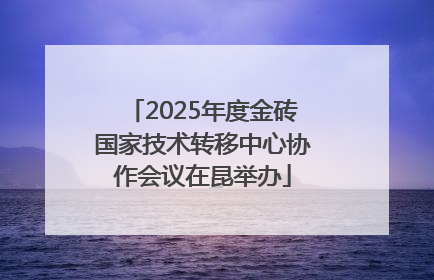 2025年度金砖国家技术转移中心协作会议在昆举办