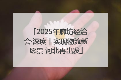2025年廊坊经洽会·深度｜实现物流新愿景 河北再出发