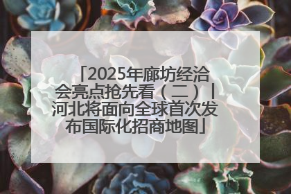 2025年廊坊经洽会亮点抢先看（二）丨河北将面向全球首次发布国际化招商地图