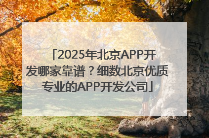2025年北京APP开发哪家靠谱？细数北京优质专业的APP开发公司