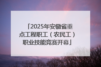 2025年安徽省重点工程职工（农民工）职业技能竞赛开幕