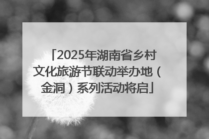 2025年湖南省乡村文化旅游节联动举办地（金洞）系列活动将启