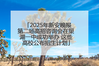 2025年新安晚报第二场高招咨询会在巢湖一中成功举办 这些高校公布招生计划