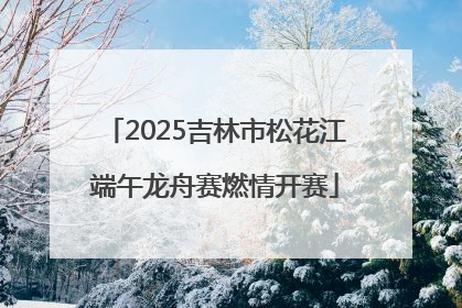 2025吉林市松花江端午龙舟赛燃情开赛