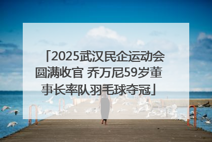 2025武汉民企运动会圆满收官 乔万尼59岁董事长率队羽毛球夺冠