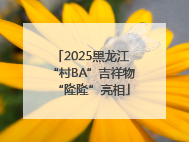 2025黑龙江“村BA”吉祥物“隆隆”亮相