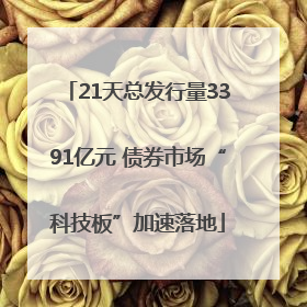 21天总发行量3391亿元 债券市场“科技板”加速落地