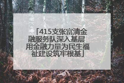 415支张富清金融服务队深入基层 用金融力量为民生福祉建设筑牢根基