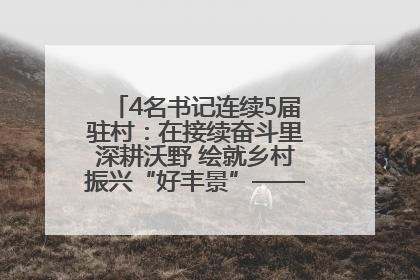 4名书记连续5届驻村：在接续奋斗里深耕沃野 绘就乡村振兴“好丰景”——浦发银行南京分行助力脱贫攻坚、帮促乡村振兴记事（二）