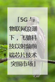 5G 与物联网浪潮下，飞骧科技以射频前端芯片技术突围市场