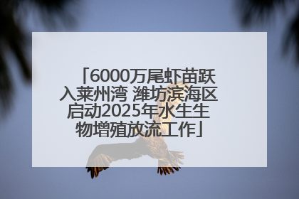 6000万尾虾苗跃入莱州湾 潍坊滨海区启动2025年水生生物增殖放流工作