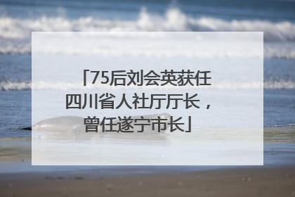 75后刘会英获任四川省人社厅厅长，曾任遂宁市长