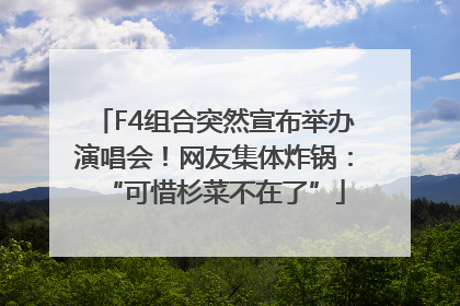 F4组合突然宣布举办演唱会！网友集体炸锅：“可惜杉菜不在了”