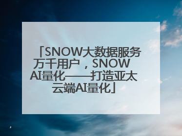 SNOW大数据服务万千用户，SNOW AI量化——打造亚太云端AI量化