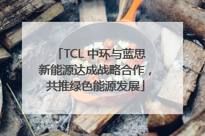 TCL 中环与蓝思新能源达成战略合作，共推绿色能源发展